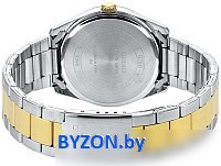 Наручные часы Casio MTP-1302PSG-7AVEF Наручные часы Casio MTP-1302PSG-7AVEF