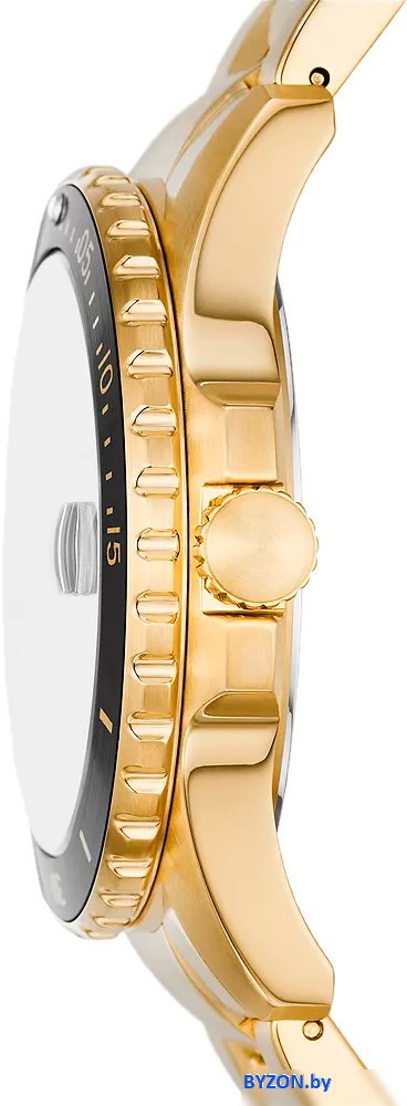 Наручные часы Fossil FS6035 Наручные часы Fossil FS6035