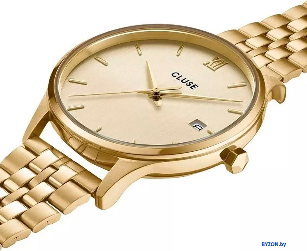 Наручные часы Cluse CW14301 Наручные часы Cluse CW14301
