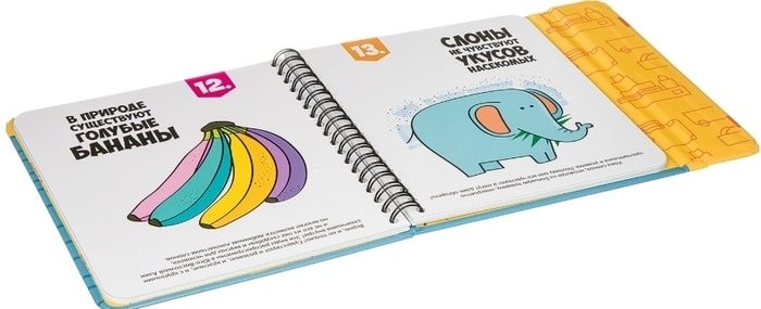 Развивающая игра Bondibon Верю - не верю ВВ3361 Развивающая игра Bondibon Верю - не верю ВВ3361
