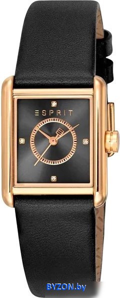 Наручные часы Esprit ES1L397L0035 Наручные часы Esprit ES1L397L0035