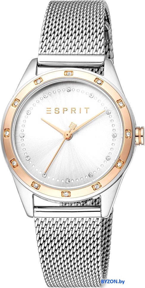 Наручные часы Esprit ES1L349M0115 Наручные часы Esprit ES1L349M0115
