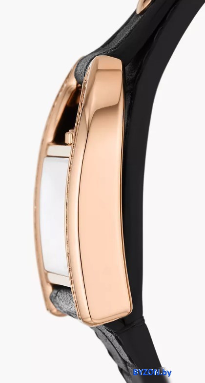 Наручные часы Fossil ES5263 Наручные часы Fossil ES5263