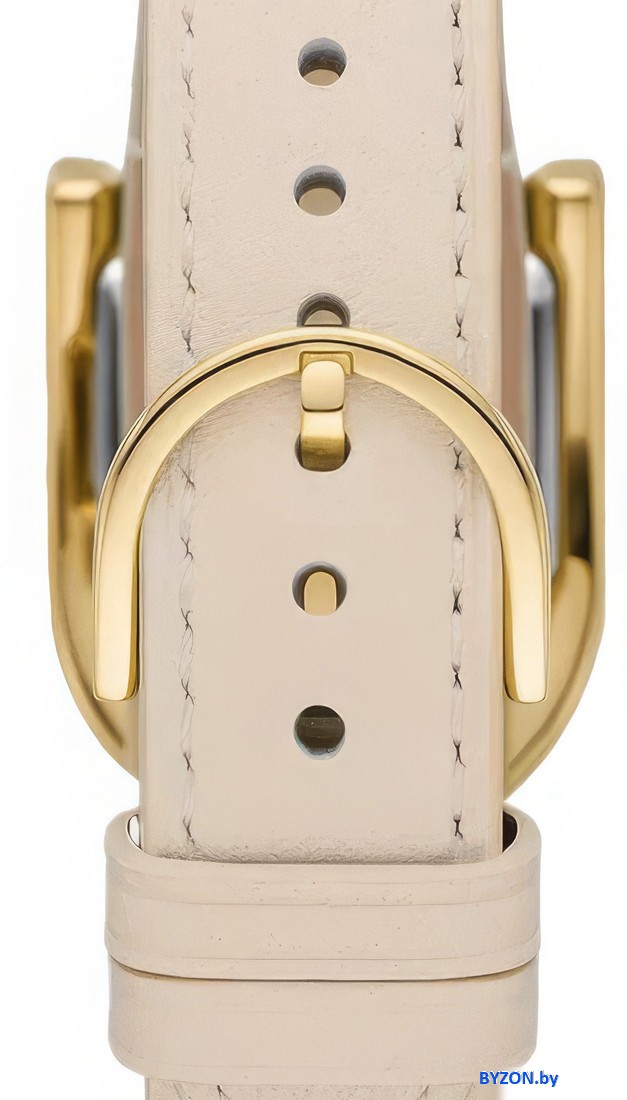 Наручные часы Fossil ES5280 Наручные часы Fossil ES5280