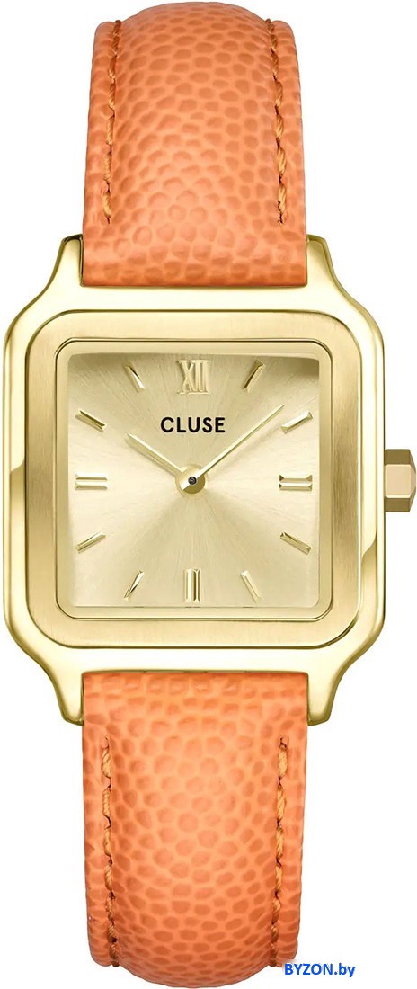 Наручные часы Cluse CW11808 Наручные часы Cluse CW11808