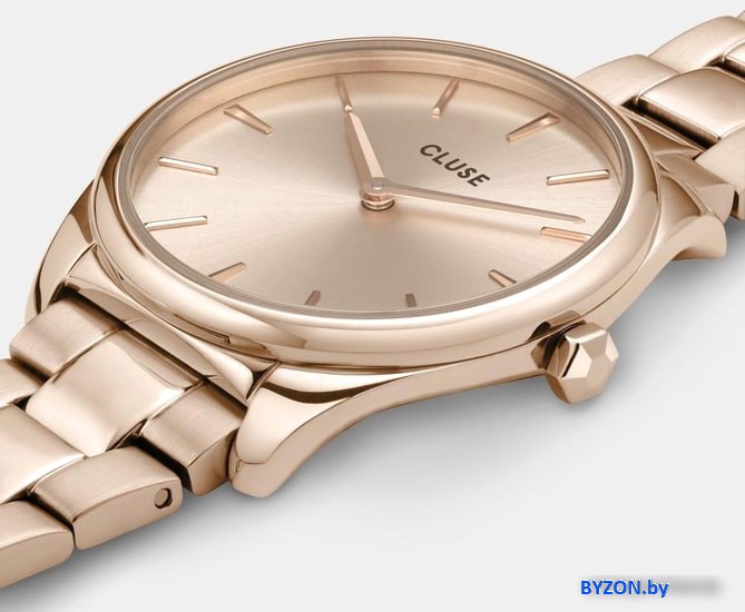 Наручные часы Cluse Feroce CW11201 Наручные часы Cluse Feroce CW11201