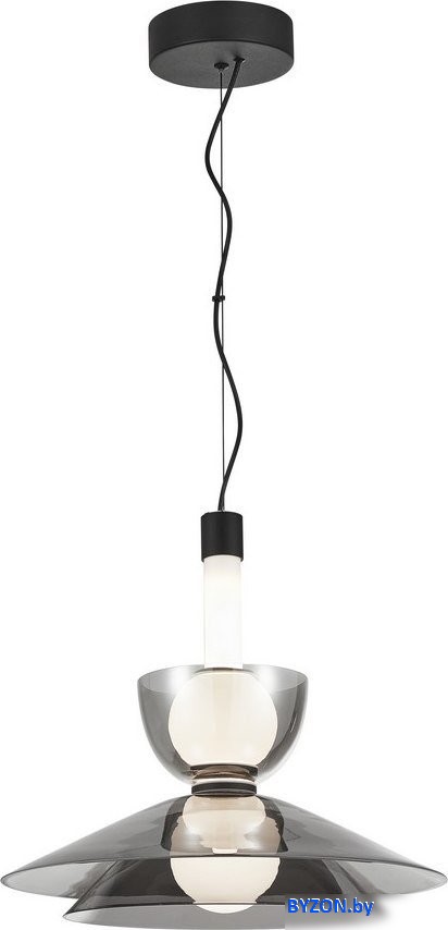 Подвесная люстра Aployt APL.772.16.12 Подвесная люстра Aployt APL.772.16.12