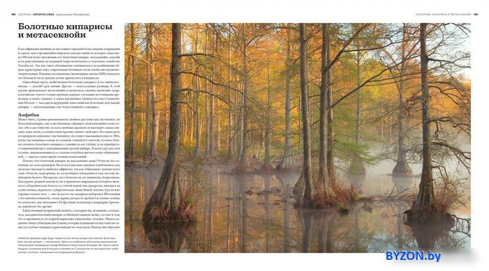 Книга издательства КоЛибри. Деревья. Жизнеутверждающее путешествие по лесам (Джонсон Х.) Книга издательства КоЛибри. Деревья. Жизнеутверждающее путешествие по лесам (Джонсон Х.)