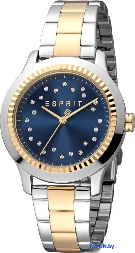Наручные часы Esprit ES1L351M0125 Наручные часы Esprit ES1L351M0125