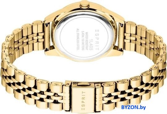 Наручные часы Esprit ES1L405M0045 Наручные часы Esprit ES1L405M0045