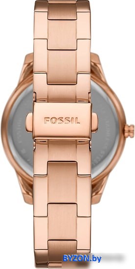 Наручные часы Fossil Stella ES5109 Наручные часы Fossil Stella ES5109