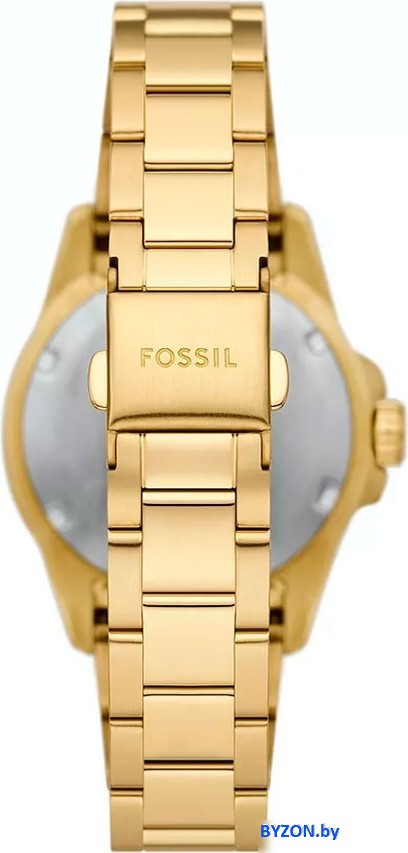 Наручные часы Fossil ES5350 Наручные часы Fossil ES5350