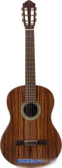 Акустическая гитара Flight C-110 Teak 4/4 Акустическая гитара Flight C-110 Teak 4/4