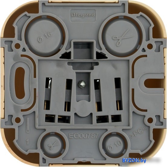 Розетка Legrand Quteo 782270 (дерево) Розетка Legrand Quteo 782270 (дерево)