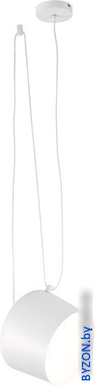 Подвесная люстра Evoluce Trieste SLE120653-01 Подвесная люстра Evoluce Trieste SLE120653-01