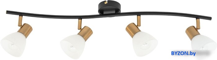 Спот Arte Lamp Falena A3117PL-4BK Спот Arte Lamp Falena A3117PL-4BK