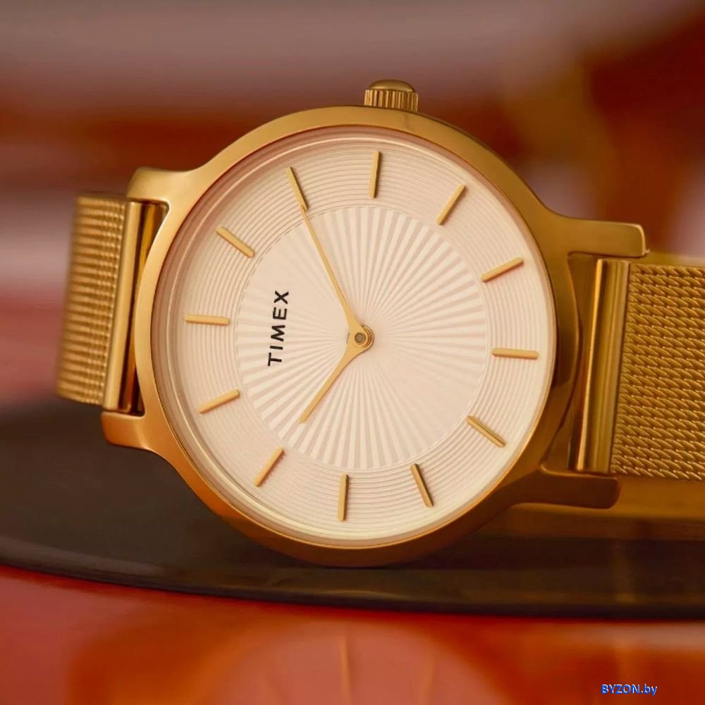 Наручные часы Timex TW2Y10300 Наручные часы Timex TW2Y10300