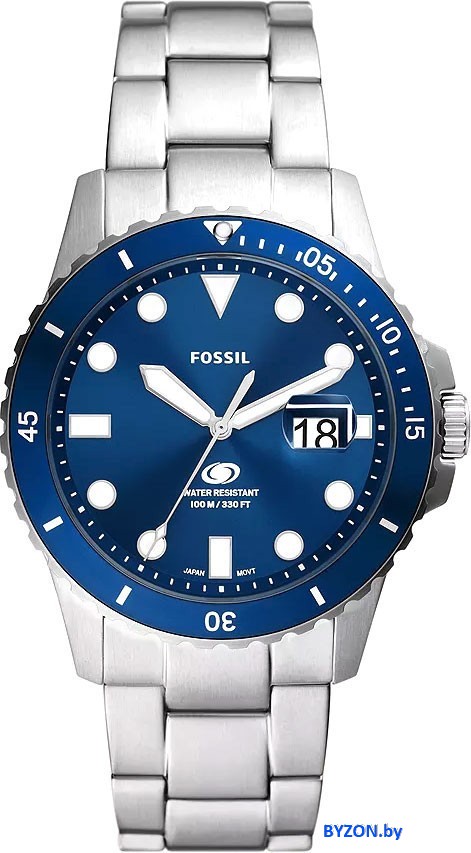Наручные часы Fossil FS6029 Наручные часы Fossil FS6029