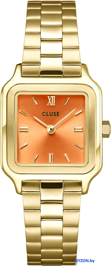Наручные часы Cluse CW11807 Наручные часы Cluse CW11807
