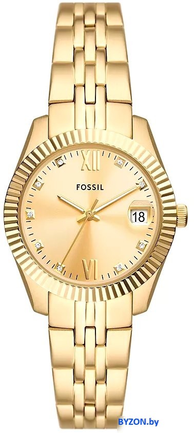Наручные часы Fossil ES5338 Наручные часы Fossil ES5338