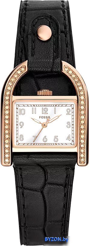 Наручные часы Fossil ES5263 Наручные часы Fossil ES5263