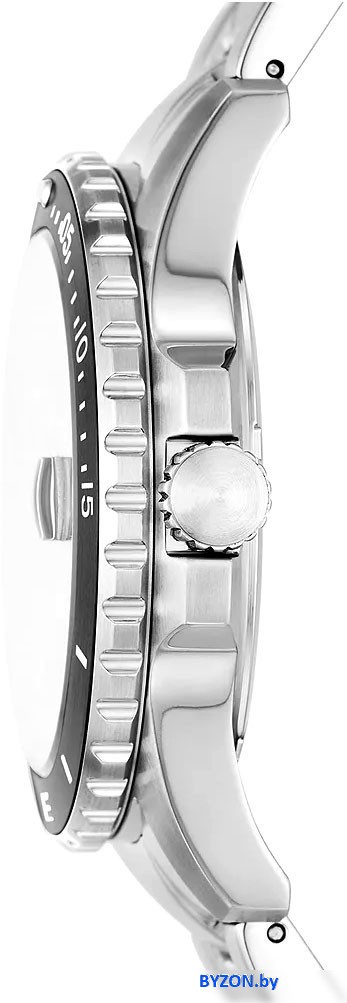 Наручные часы Fossil FS6032 Наручные часы Fossil FS6032