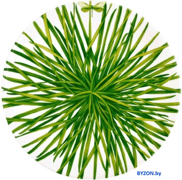 Тарелка обеденная Taitu Life In Green 12-13-1 Тарелка обеденная Taitu Life In Green 12-13-1