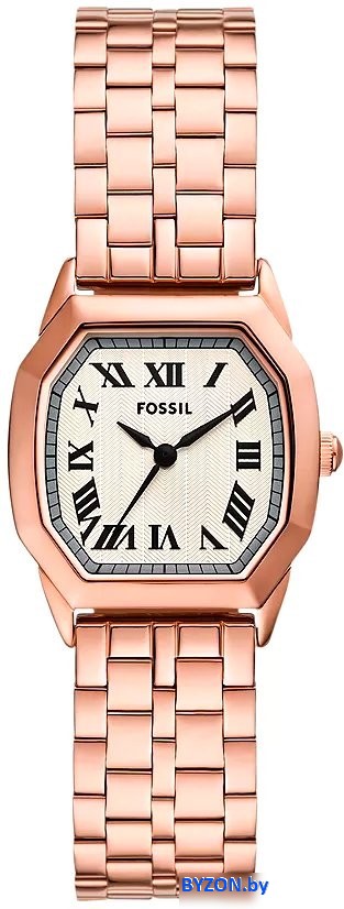 Наручные часы Fossil ES5386 Наручные часы Fossil ES5386