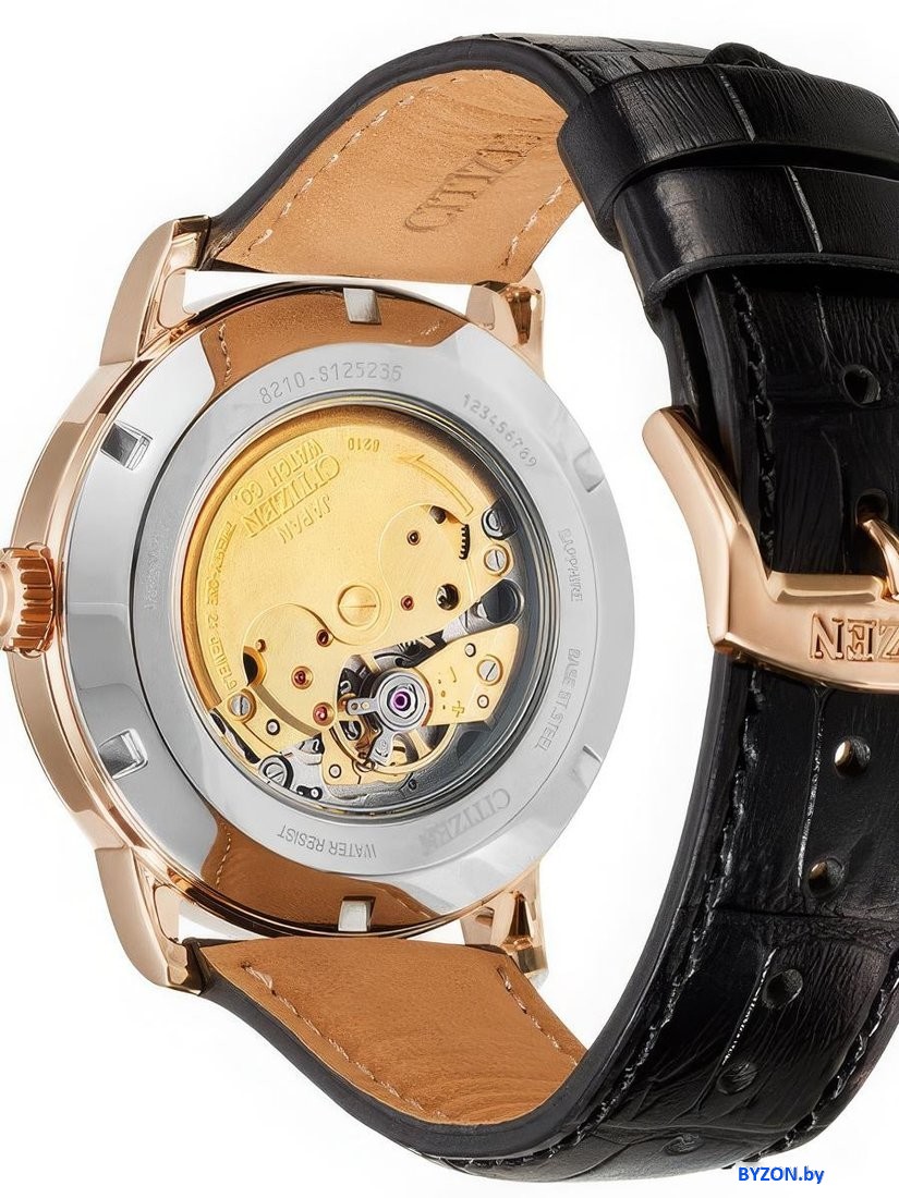 Наручные часы Citizen Automatic NJ0133-12E Наручные часы Citizen Automatic NJ0133-12E