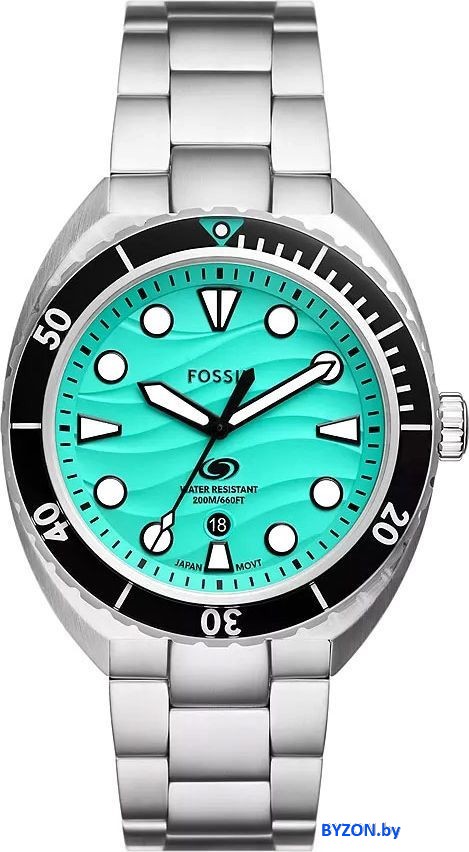 Наручные часы Fossil FS6066 Наручные часы Fossil FS6066