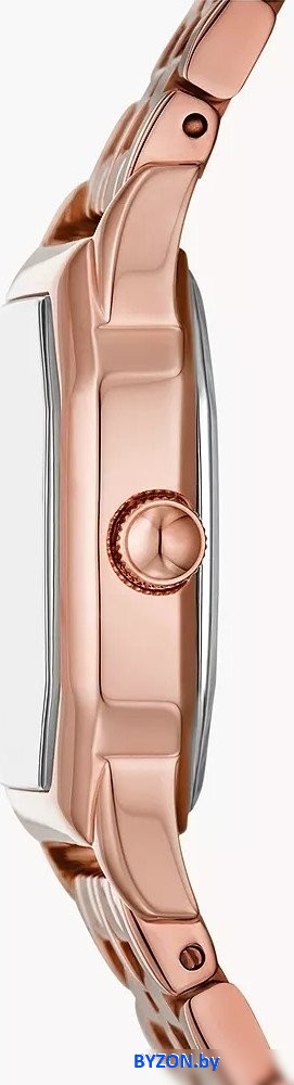 Наручные часы Fossil ES5386 Наручные часы Fossil ES5386