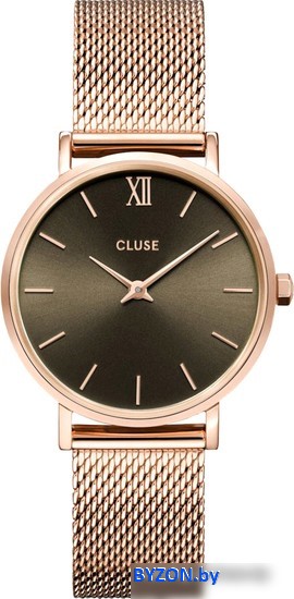 Наручные часы Cluse Minuit CW10207 Наручные часы Cluse Minuit CW10207