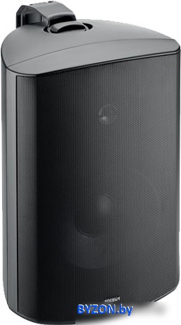 Акустика Focal 100 OD8 (черный) Акустика Focal 100 OD8 (черный)