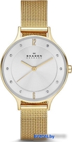 Наручные часы Skagen SKW2150 - фото