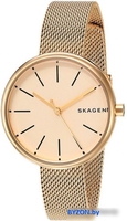 Наручные часы Skagen SKW2614 - фото