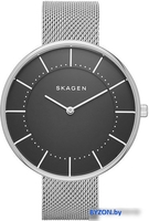 Наручные часы Skagen SKW2561 - фото