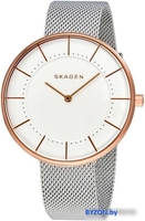 Наручные часы Skagen SKW2583 - фото