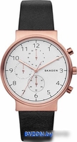 Наручные часы Skagen SKW6371 - фото