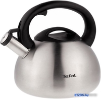 Чайник Tefal C7921024 - фото