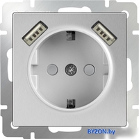 Розетка Werkel WL06-SKGS-USBx2-IP20 (серебряный) - фото