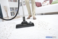 Пылесос Karcher DS 6 Premium Home Line - фото2