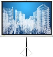 Проекционный экран CACTUS Triscreen CS-PST-104x186 - фото