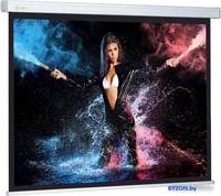 Проекционный экран CACTUS Wallscreen CS-PSW-180x180 - фото