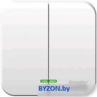 Выключатель Schneider Electric Blanca BLNVA105111 - фото