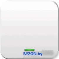 Выключатель Schneider Electric Blanca BLNVA061111 - фото