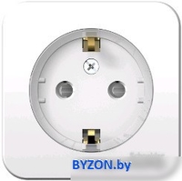 Розетка Schneider Electric Blanca BLNRA110111 - фото