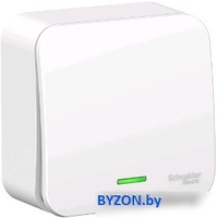 Выключатель Schneider Electric Blanca BLNVA106111 - фото