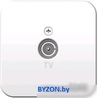 Розетка телевизионная Schneider Electric Blanca BLNTA000011 - фото
