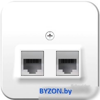 Розетка компьютерная Schneider Electric Blanca BLNIA045451 - фото