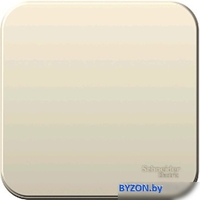 Выключатель Schneider Electric Blanca BLNVA061012 - фото